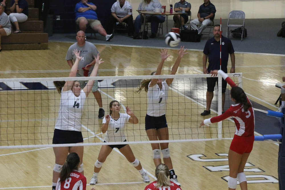 Gallery: Girls volleyball - Crown Point at Michigan City
